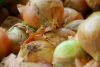 Filename=fruits 020_resize_resize.jpg
Filesize=77KB
Dimensions=632x425
Date added=Nov 22, 2009 fruits 020_resize_resize.jpg