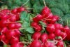 Filename=fruits 032_resize_resize.jpg
Filesize=120KB
Dimensions=632x425
Date added=Nov 22, 2009 fruits 032_resize_resize.jpg