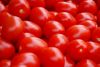 Filename=fruits 037_resize_resize.jpg
Filesize=62KB
Dimensions=632x425
Date added=Nov 22, 2009 fruits 037_resize_resize.jpg