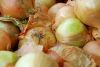 Filename=fruits 043_resize_resize.jpg
Filesize=80KB
Dimensions=632x425
Date added=Nov 22, 2009 fruits 043_resize_resize.jpg