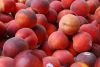 Filename=fruits 055_resize_resize.jpg
Filesize=83KB
Dimensions=632x425
Date added=Nov 22, 2009 fruits 055_resize_resize.jpg
