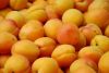 Filename=fruits 057_resize_resize.jpg
Filesize=70KB
Dimensions=632x425
Date added=Nov 22, 2009 fruits 057_resize_resize.jpg