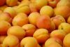 fruits 057_resize_resize.jpg