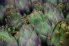 Filename=fruits 058_resize_resize.jpg
Filesize=87KB
Dimensions=632x425
Date added=Nov 22, 2009 fruits 058_resize_resize.jpg