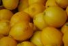 Filename=fruits 066_resize_resize.jpg
Filesize=63KB
Dimensions=632x425
Date added=Nov 22, 2009 fruits 066_resize_resize.jpg