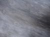 Nature 002_resize_resize.jpg