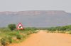 Filename=Namibie_1009_ 315_resize.jpg
Filesize=32KB
Dimensions=566x375
Date added=Nov 25, 2009 Namibie_1009_ 315_resize.jpg