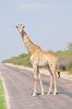 Namibie_1009_ 333_resize.jpg