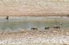 Namibie_1009_ 560_resize.jpg