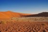 Filename=Namibie_1009_ 844_resize.jpg
Filesize=43KB
Dimensions=566x375
Date added=Nov 25, 2009 Namibie_1009_ 844_resize.jpg