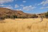 Filename=Namibie_1009_ 918_resize.jpg
Filesize=42KB
Dimensions=566x375
Date added=Nov 25, 2009 Namibie_1009_ 918_resize.jpg