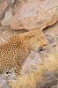 Namibie_1009_ 992_resize.jpg