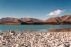 Filename=NZ4_resize.jpg
Filesize=51KB
Dimensions=566x382
Date added=Nov 26, 2009 NZ4_resize.jpg