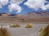 228 - Altiplano B - 111205_resize.JPG