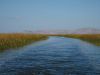 0540-290907-Lac Titicaca_resize.JPG